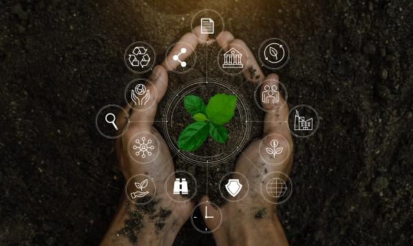 What Pretium Packaging's First Sustainability Report Signals for Nutraceutical Brands
