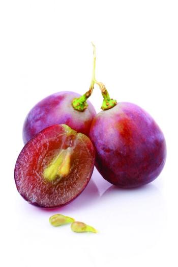 Photo © iStockphoto.com/mauhorng