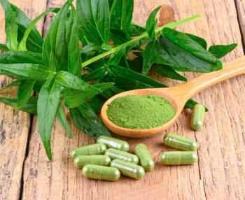 Natural Remedies’ AP-Bio, KalmCold Andrographis immune health ingredient gets Health Canada NPN