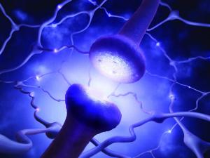 Dietary Supplements, Cognitive Health, Relaxation/Sleep: What Goes Up...