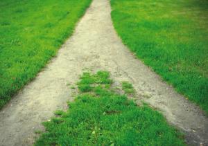 NDI Guidance: NDI Versus GRAS Ingredients