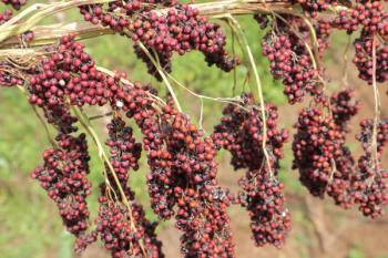 Image | adobe.stock/upen