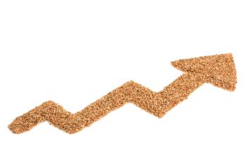 Fiber forward: Where are fiber food ingredient trends heading?
