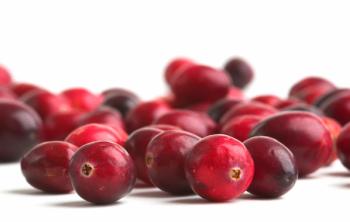 Ethical Naturals to share new study data on superiority of Cranberex cranberry extract: 2023 SupplySide West Preview