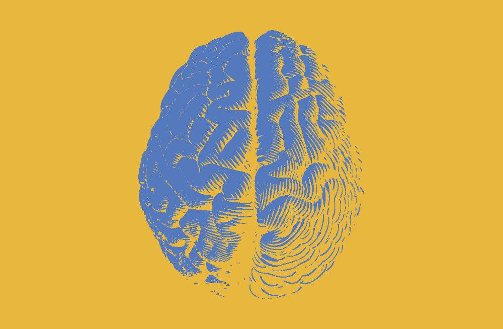 One brain, multiple concerns: The diversity of the cognitive health category