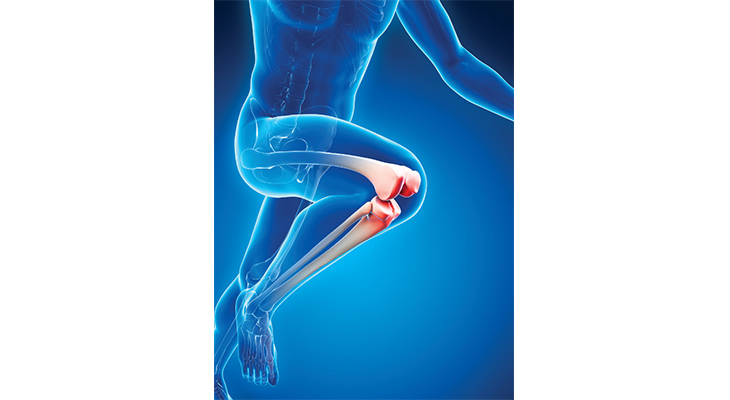 Photo © Shutterstock.com/Sebastian Kaulitzki