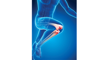 Photo © Shutterstock.com/Sebastian Kaulitzki