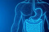 New Metabolic Health Ingredient Targets Abdominal Fat, as Demand Grows for Evidence-Based Solutions