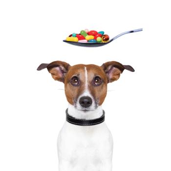 Nutrasource aims to increase research, substantiation for pet supplements: 2022 SupplySide West Report