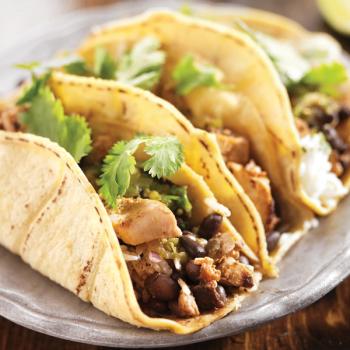 Kemin launching protein-based ingredient to increase moisture and reduce fat in battered, breaded, and fried foods: IFT FIRST 2023 Preview