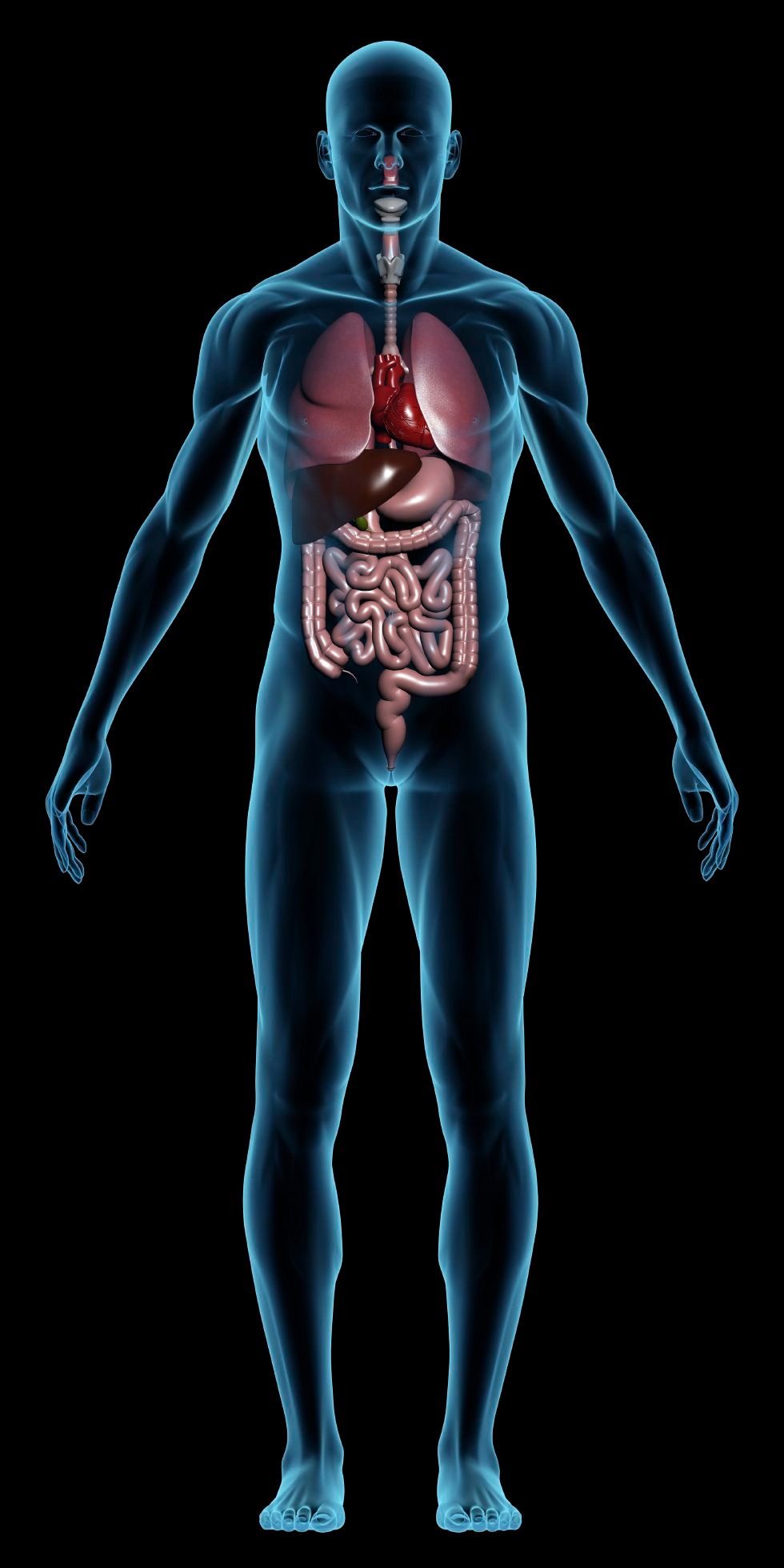 Photo © iStockphoto.com/Max Delson Martins Santos