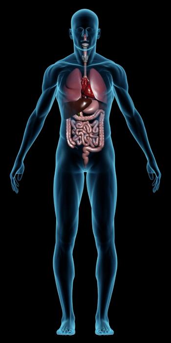 Photo © iStockphoto.com/Max Delson Martins Santos