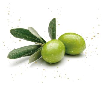 Image Courtesy of Nexira