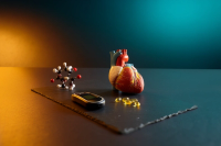 The Cardiometabolic Lens