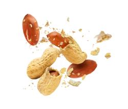 Recent research finds that peanut consumption may support memory and mood function