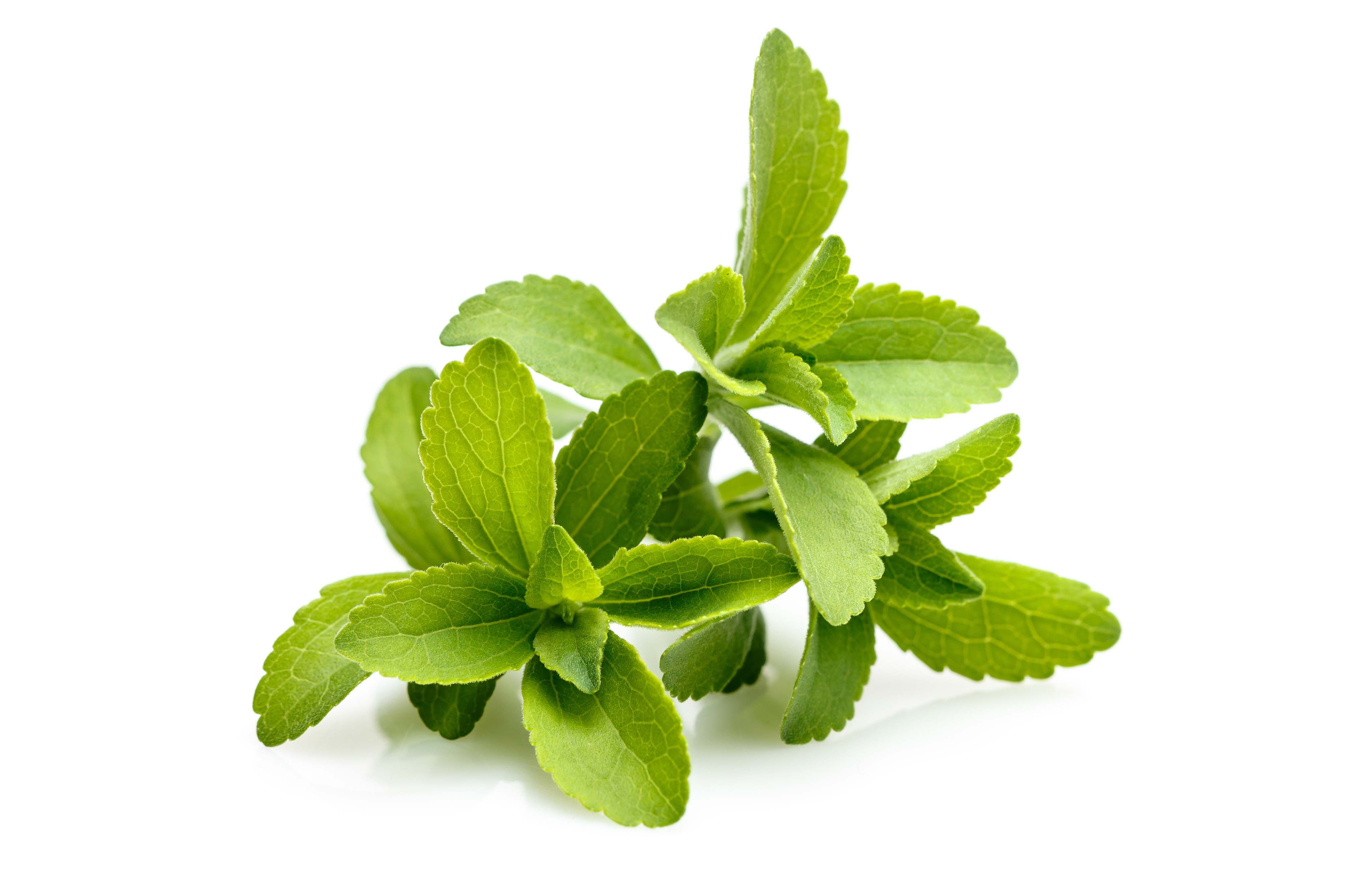 Layn Natural Ingredients launches plant-based sweetener SteviUp M2 for food and beverage application