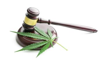 hemp leaf with gavel