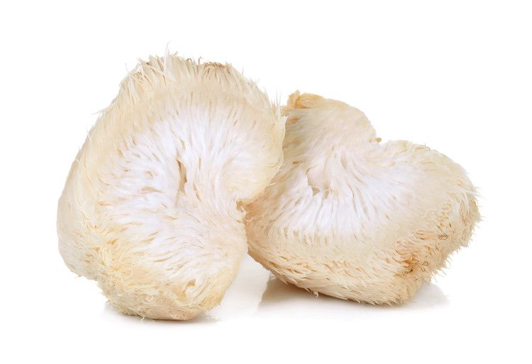 lions mane