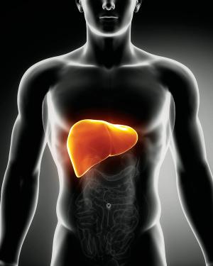 Do some plants contain solutions for chronic liver health problems?