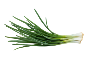 green onion