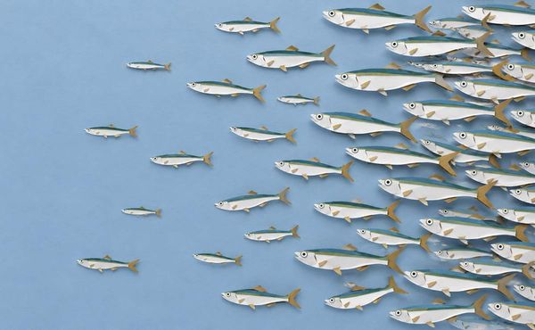 Omega-3 Supply, Not Price, Is the Real Threat