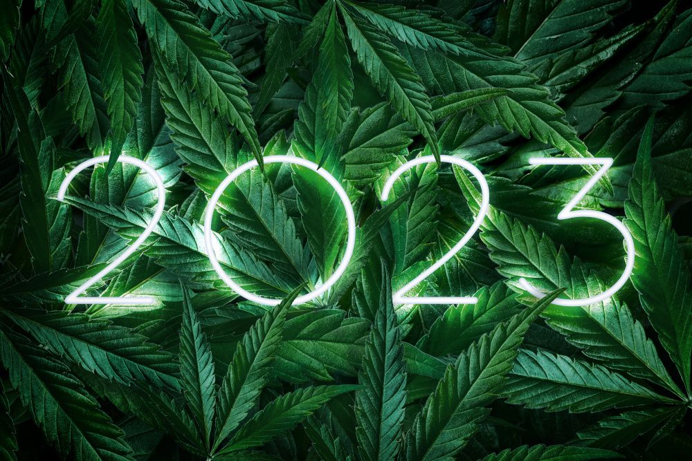 CBD in 2023: A recap of regulatory inaction, scientific milestones, and social progress