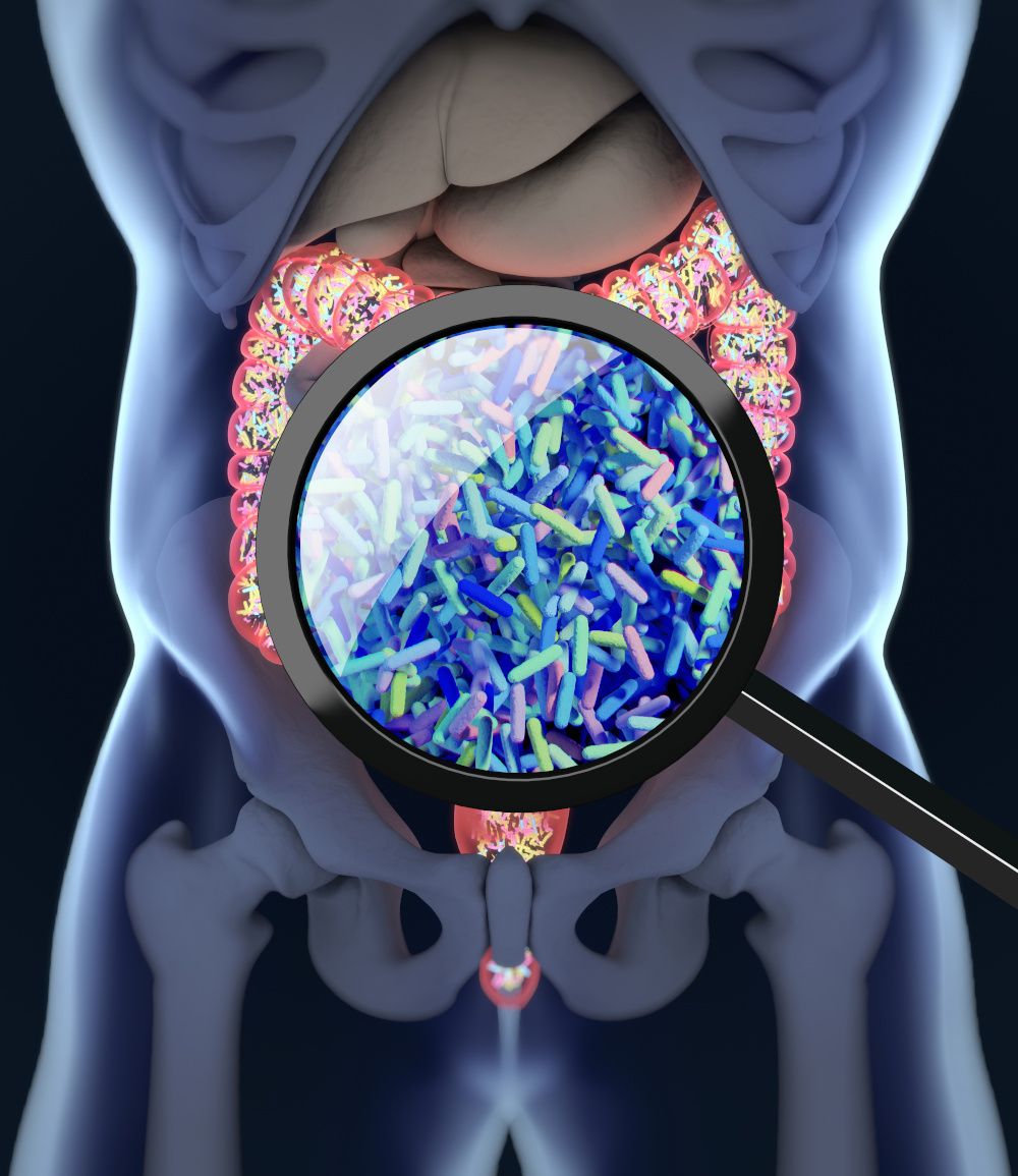 Poor digestive health is a growing concern that supplement makers are eager to solve