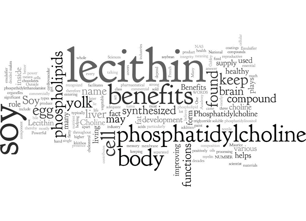 Why is Lecithin in my Food?' The Role of Emulsifiers in Food