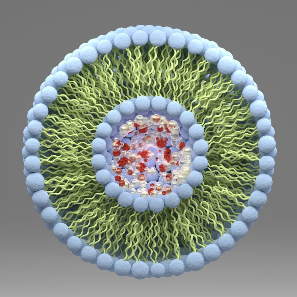 Is your liposome ingredient really a liposome? Pharmako Biotechnologies advises testing to be sure. Natural Products Expo West report