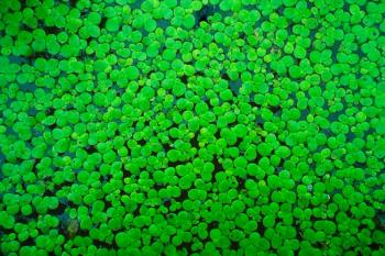 Photo © iStockphoto.com/zhuda