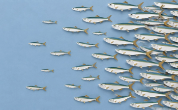 Omega-3 Supply, Not Price, Is the Real Threat