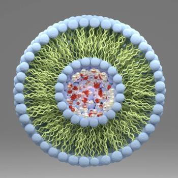 Liposomes and nutraceuticals: Crushing bioavailability barriers