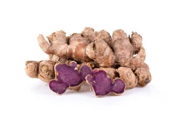 Recent study provides evidence to healthy-aging benefits of Maypro’s Sirtmax