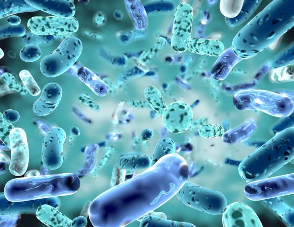 Healthy Aging Research Partnership Focuses on Microbiome Science and Probiotic Innovation