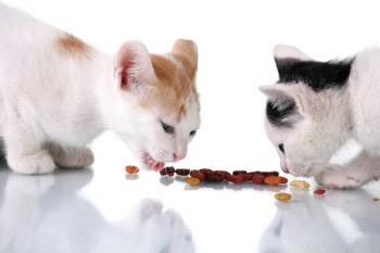 Bioriginal gains Orivo certification for pet-nutrition salmon and pollock oils