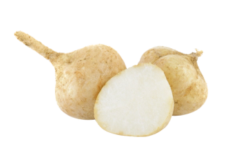 jicama