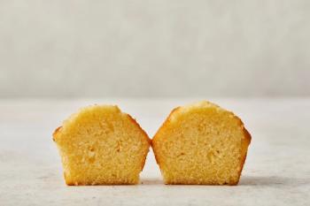 muffin cross-section