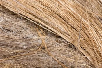 raw flax fiber