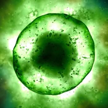 Bioenergy Life Science says new RiaGev-SR ingredient is the first NAD booster in a sustained-release format