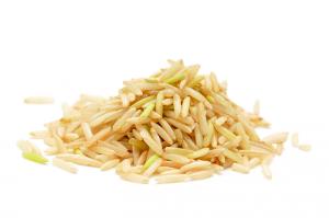 Ingredient Spotlight: Rice Protein