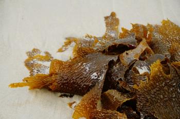 Image | adobe.stock/Kylie