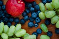 Study shows Organic NatureKnit enhances gut microbiome activity and diversity