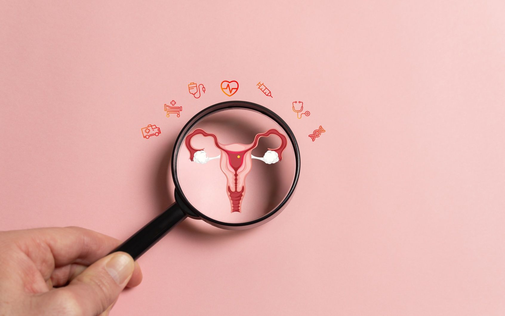 healthy female concept, uterus reproductive system, women's health, polycystic ovary syndromehealthy female concept, uterus reproductive system, women's health, polycystic ovary syndrome