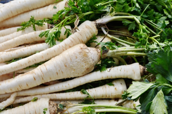 parsnips