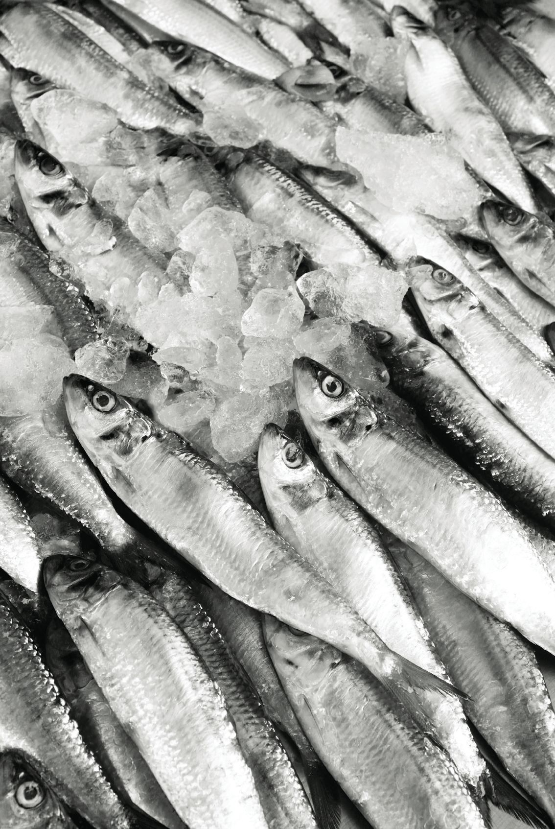 Photo © iStockphoto.com/luoman