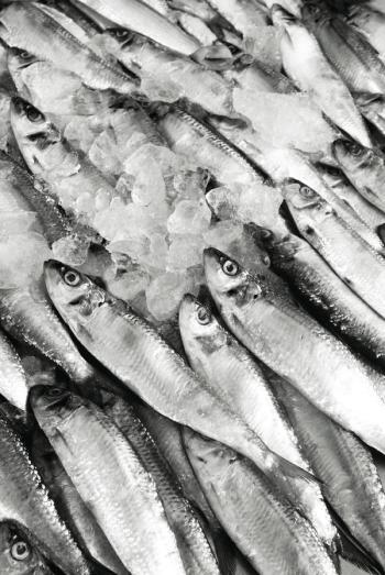 Photo © iStockphoto.com/luoman