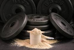 New Informed Protein certification program verifies label claims of protein content
