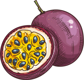 passion fruit illustration