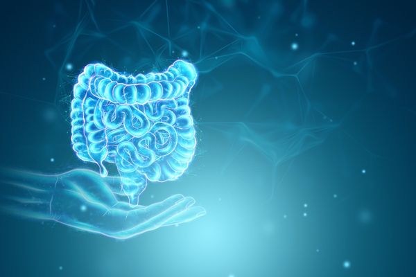 NXT USA Brings Digexin and Three Other Clinically Studied Ingredients to SupplySide Global 2026