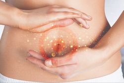 Lallemand Health Solutions joins forces with the French Gut Project to accelerate microbiome science, innovation 